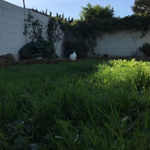 Meet your Posher, Suzanne